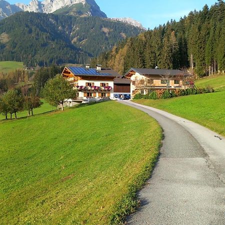Frische Bergluft Und Laendlicher Charme - Ihr Aktiver Urlaub Am Muehlauhof Mühlbach am Hochkönig Exteriér fotografie