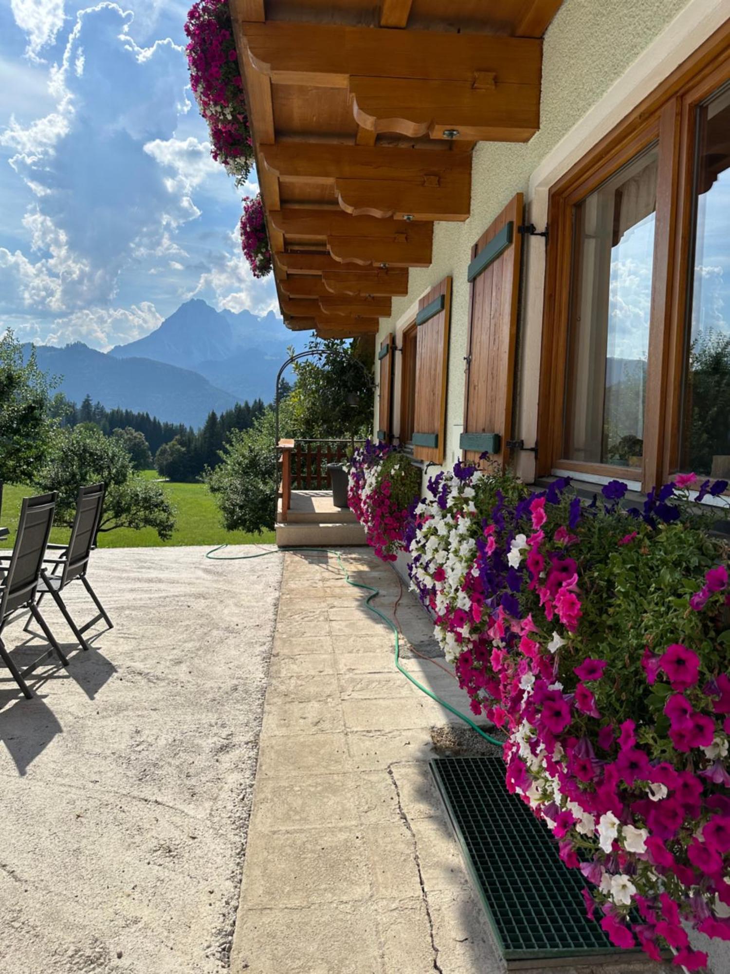 Frische Bergluft Und Laendlicher Charme - Ihr Aktiver Urlaub Am Muehlauhof Mühlbach am Hochkönig Exteriér fotografie