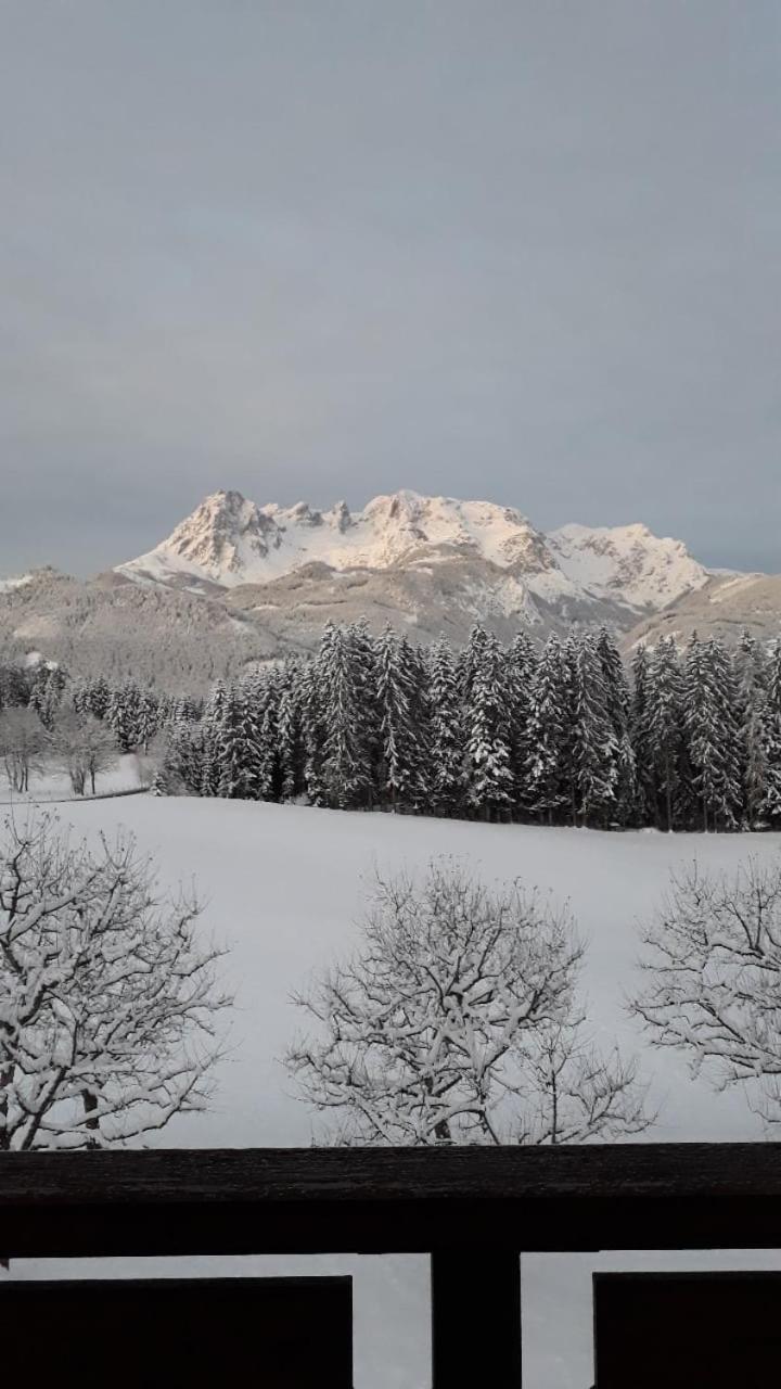 Frische Bergluft Und Laendlicher Charme - Ihr Aktiver Urlaub Am Muehlauhof Mühlbach am Hochkönig Exteriér fotografie