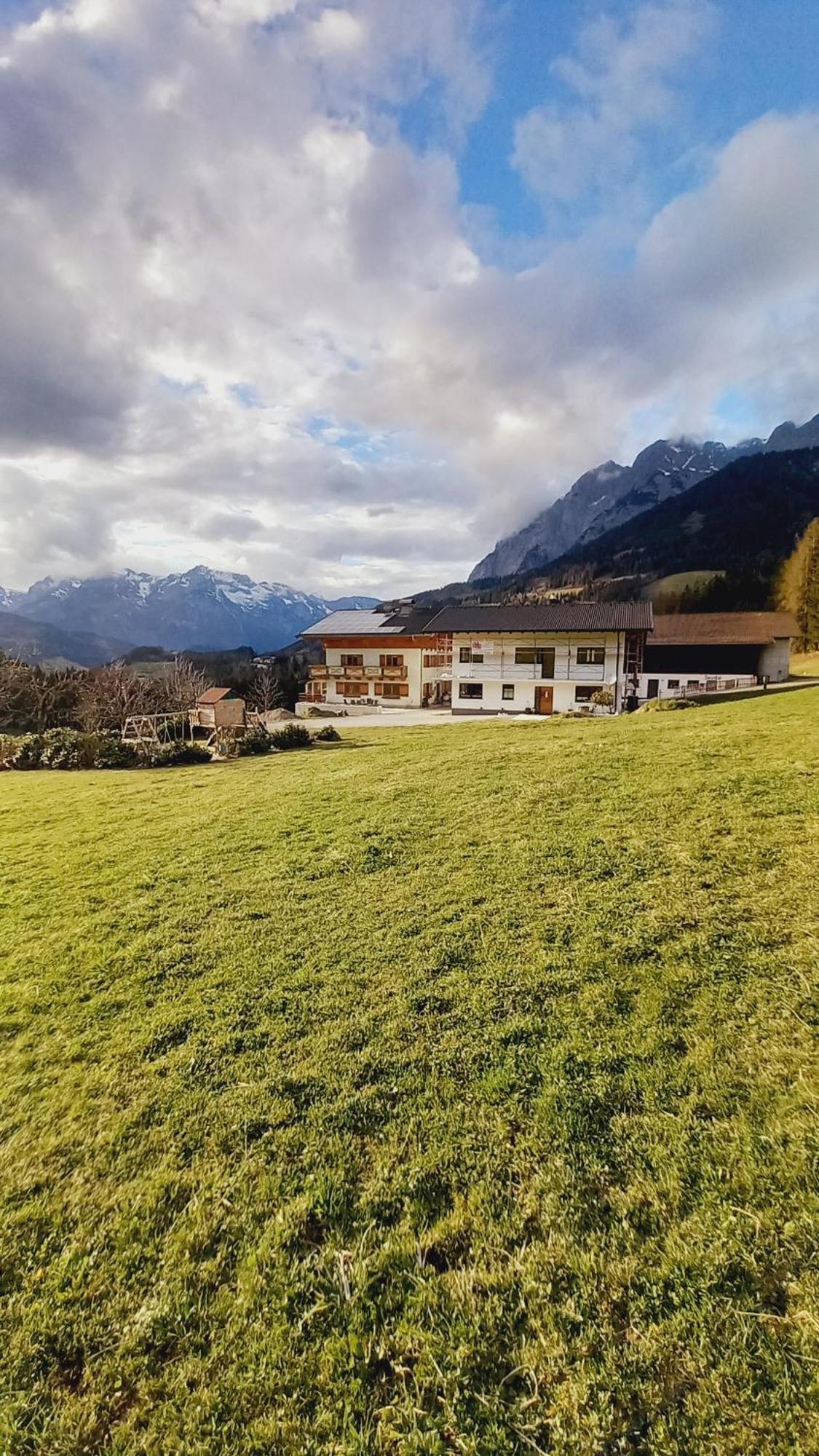Frische Bergluft Und Laendlicher Charme - Ihr Aktiver Urlaub Am Muehlauhof Mühlbach am Hochkönig Exteriér fotografie